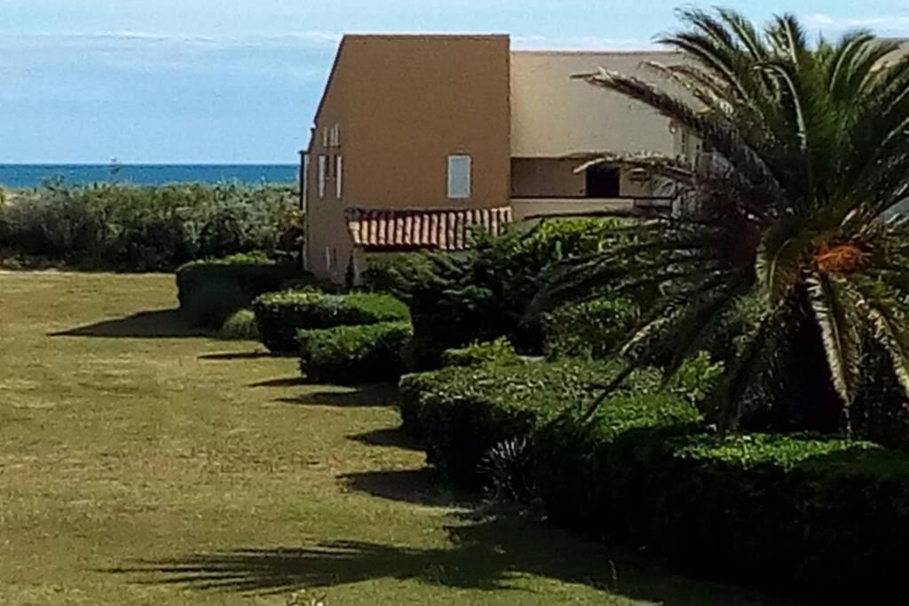 Capao Appartement Climatise Grande Terrasse Place Parking & Piscine Agde Eksteriør billede